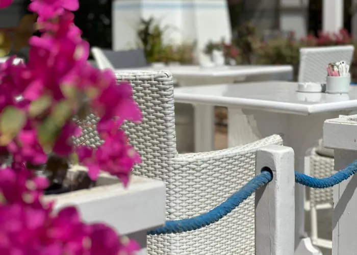 Suite Elisir Egitto Domina Coral Bay Resort