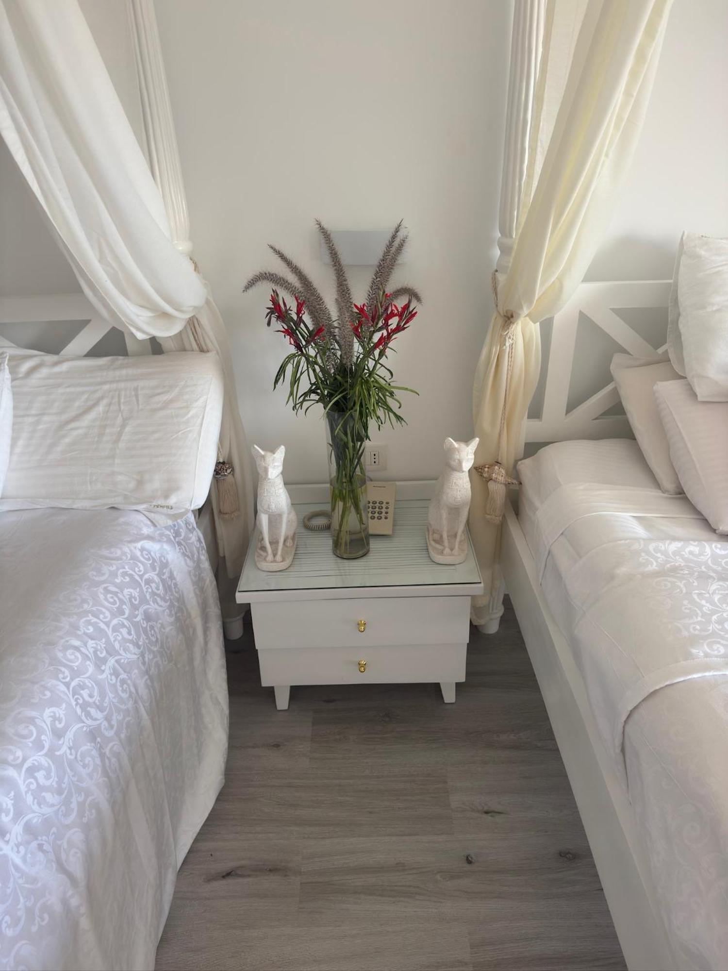 Elisir Egitto Domina Coral Bay * Szarm el-Szejk